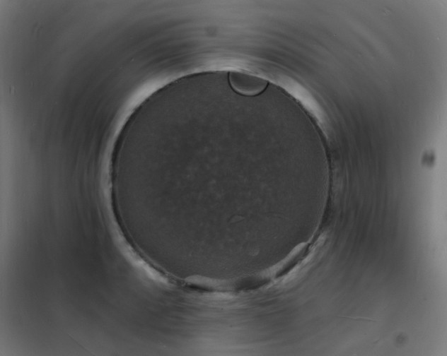 X0000102231088200807251229
