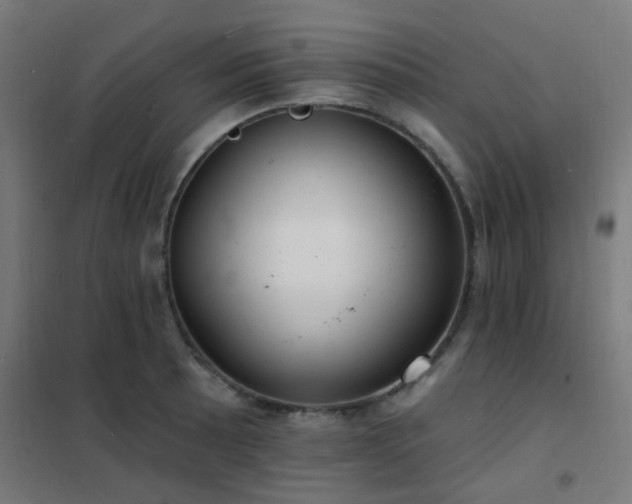 X0000102231089200807251229