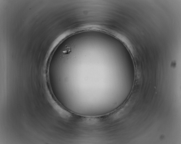X0000102231090200807251229