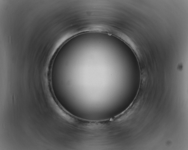 X0000102231091200807251229