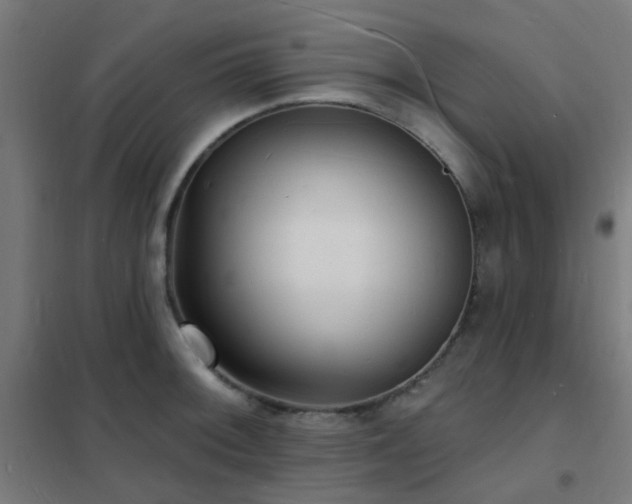 X0000102231092200807251229