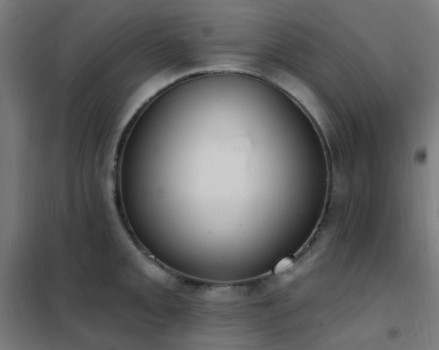 X0000102231093200807251229
