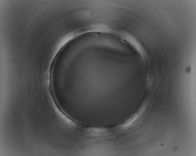 X0000102231095200807251229