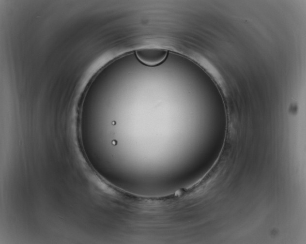 X0000102231096200807251229