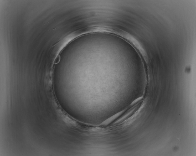 X0000102231097200807251229