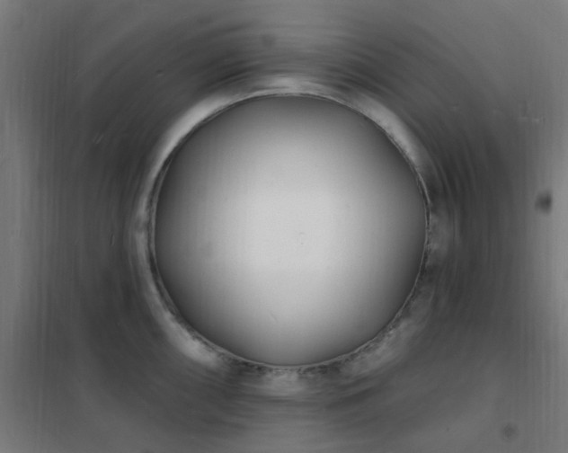 X0000102231098200807251229