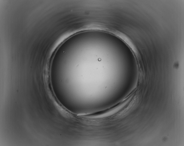 X0000102231101200807251229