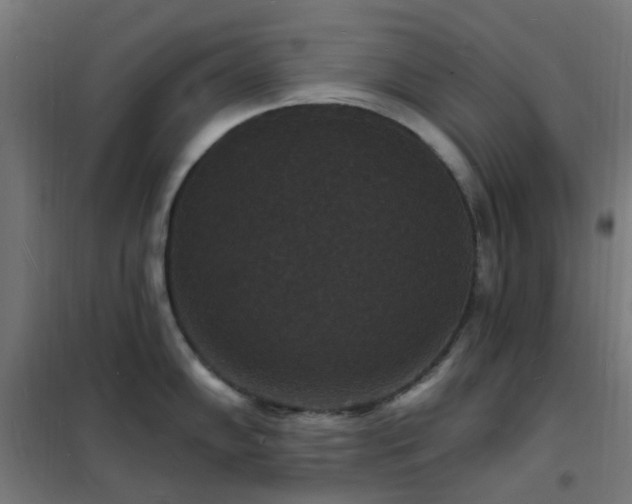 X0000102231102200807251229