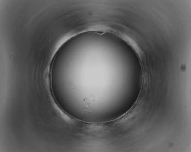 X0000102231103200807251229