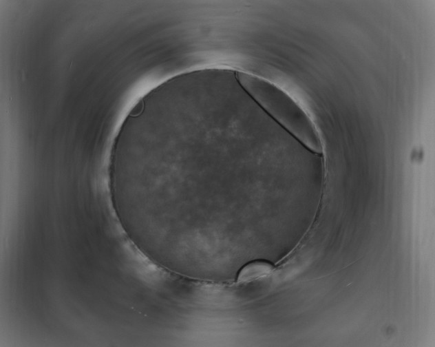 X0000102231104200807251229