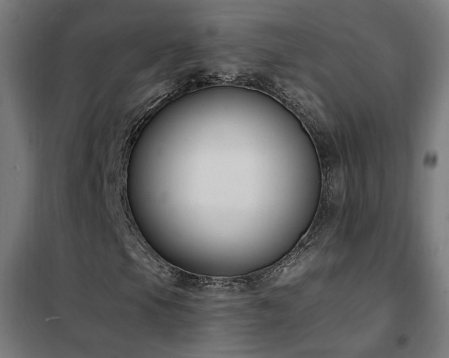 X0000102231105200807251228
