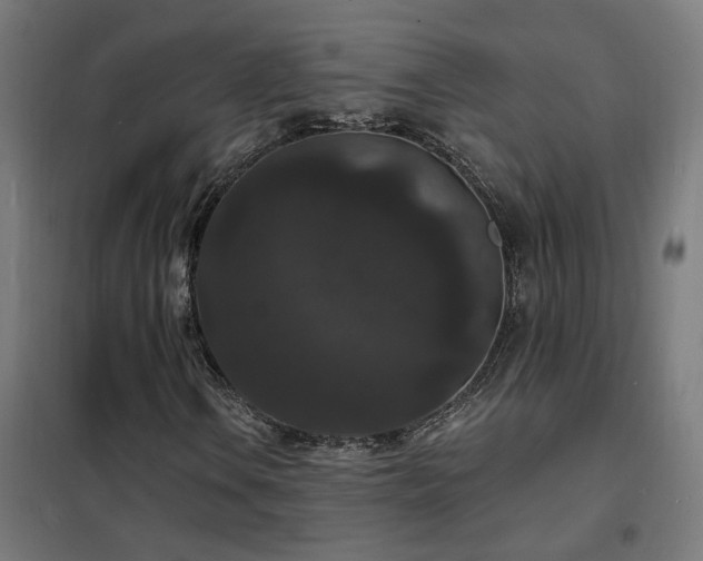 X0000102231106200807251228