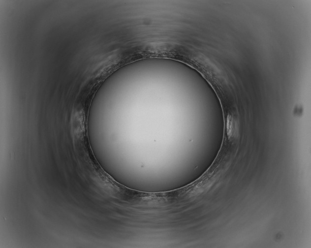 X0000102231107200807251228