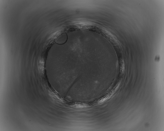 X0000102231108200807251228