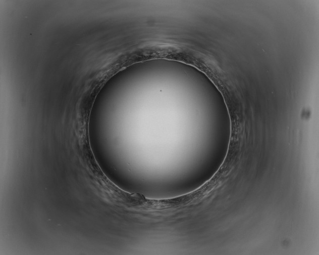 X0000102231109200807251228