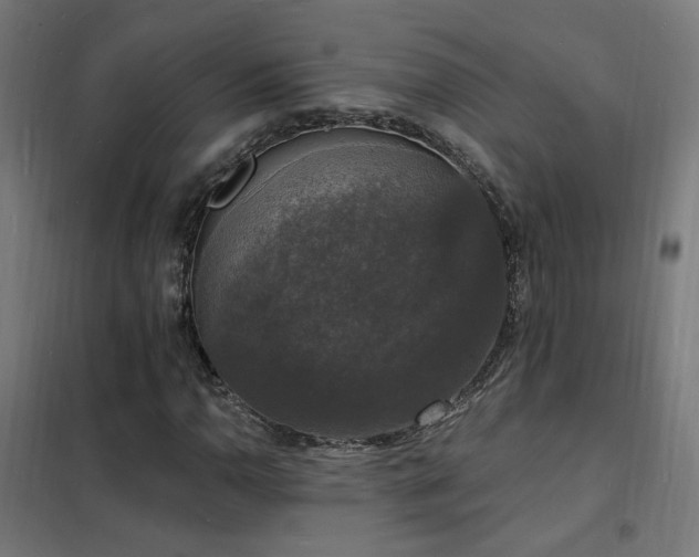 X0000102231110200807251228