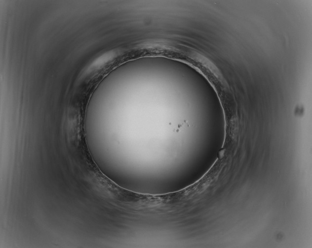 X0000102231111200807251228