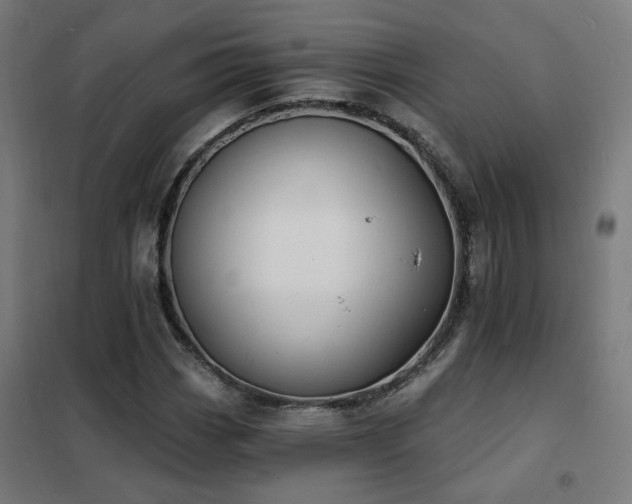 X0000102231113200807251228
