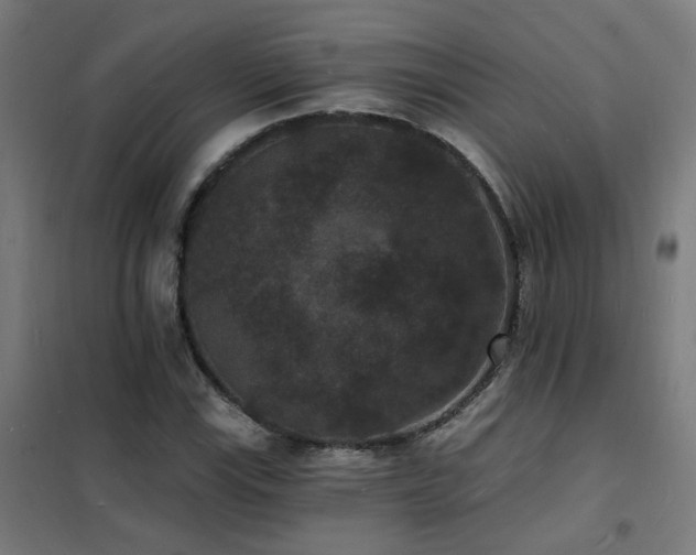 X0000102231115200807251228