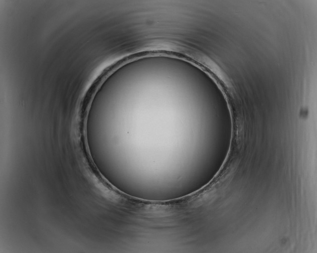 X0000102231116200807251228