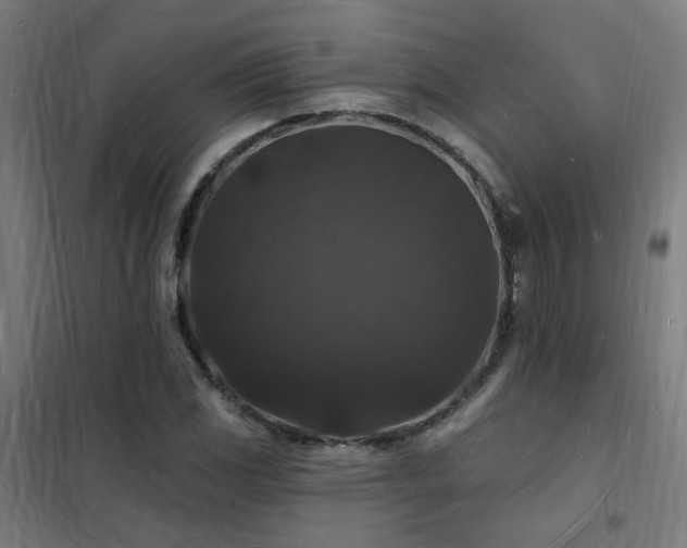 X0000102231117200807251228