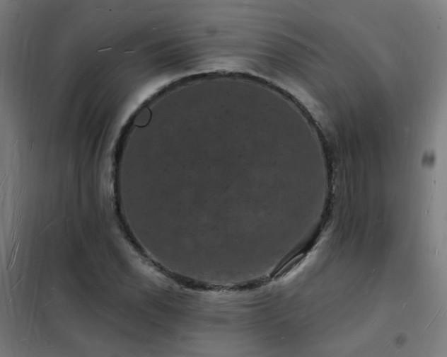 X0000102231118200807251228