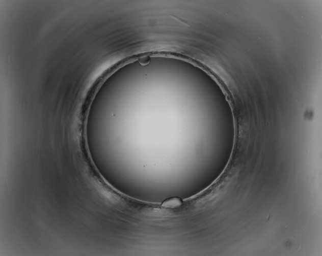 X0000102231119200807251228