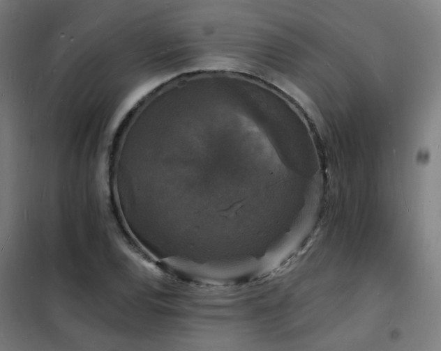 X0000102231120200807251228