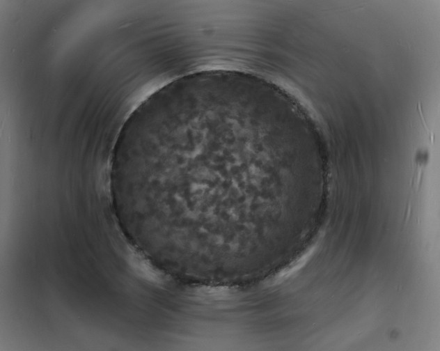 X0000102231121200807251228
