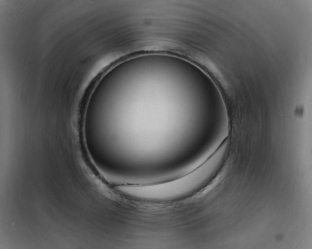 X0000102231122200807251228