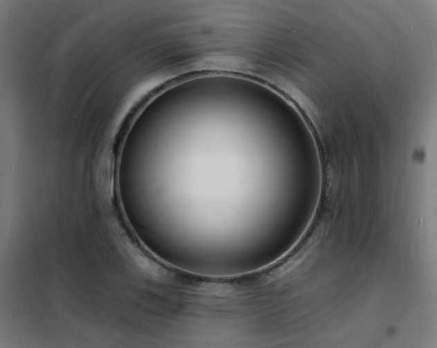 X0000102231123200807251228