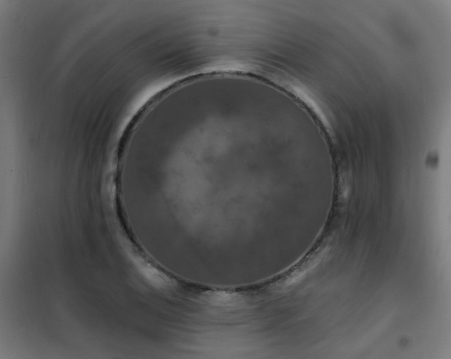 X0000102231124200807251229