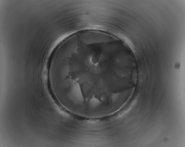 X0000102231125200807251229