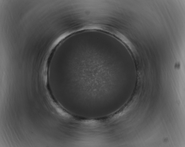 X0000102231127200807251229