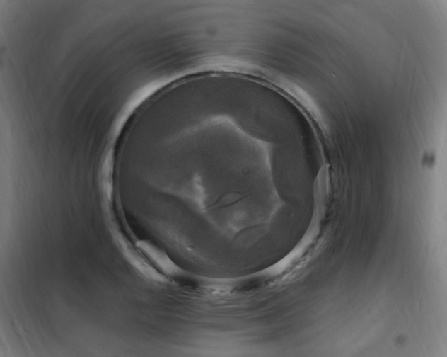 X0000102231128200807251229