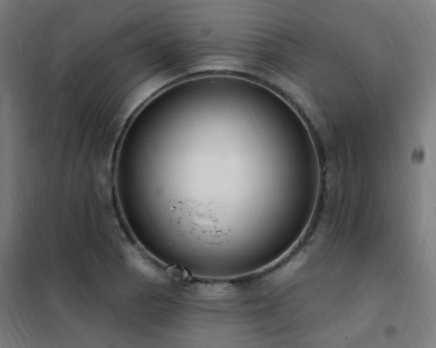 X0000102231129200807251229