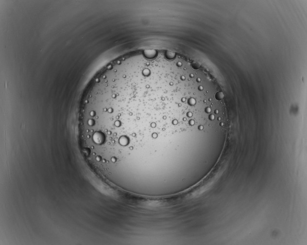 X0000102231130200807251229
