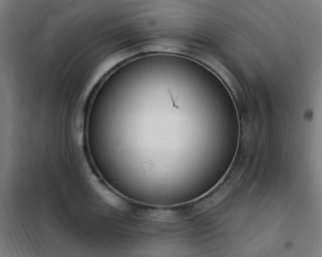 X0000102231131200807251229