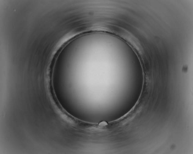 X0000102231133200807251229