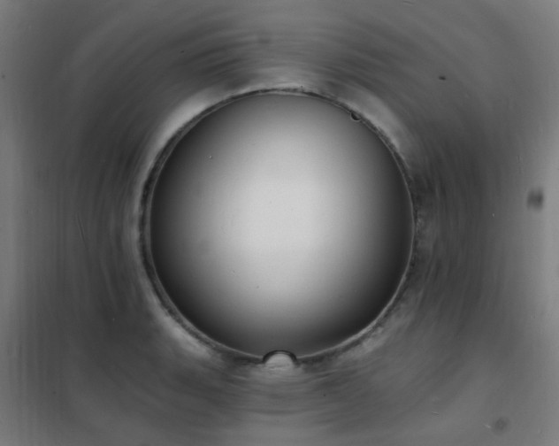 X0000102231135200807251229