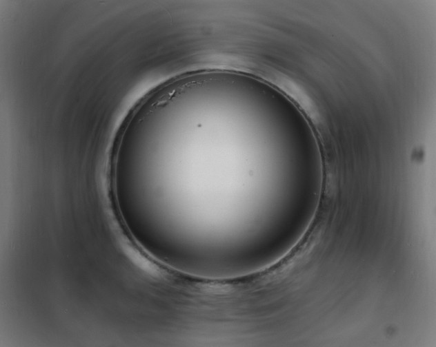 X0000102231136200807251229