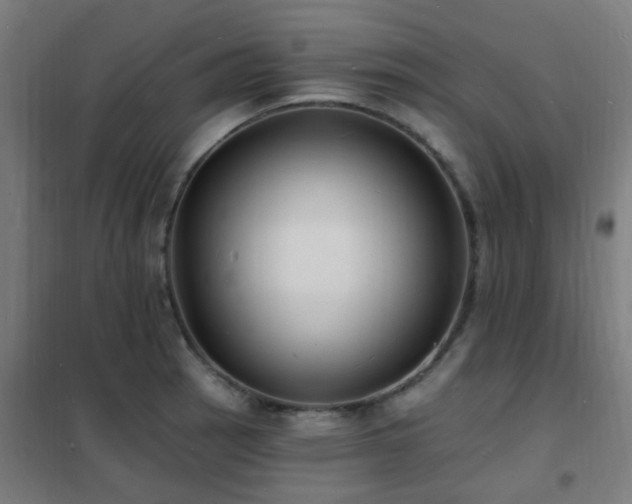 X0000102231137200807251229