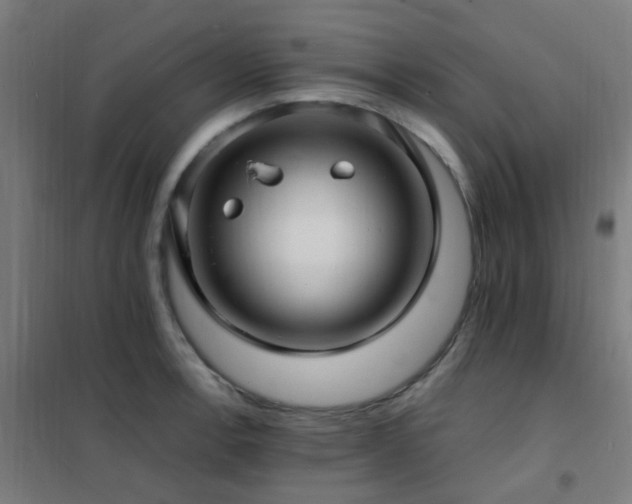 X0000102231138200807251229