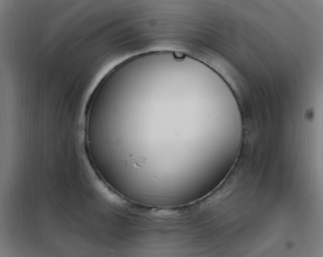 X0000102231140200807251229