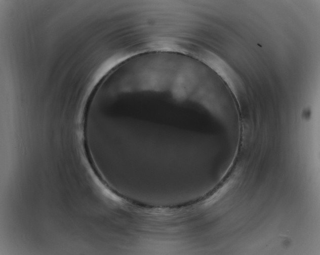 X0000102231141200807251229
