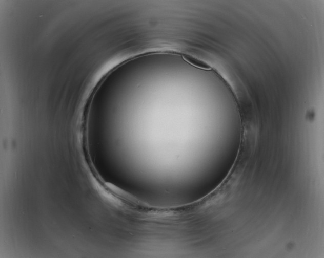 X0000102231143200807251229