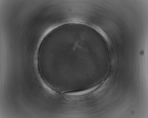 X0000102231144200807251229