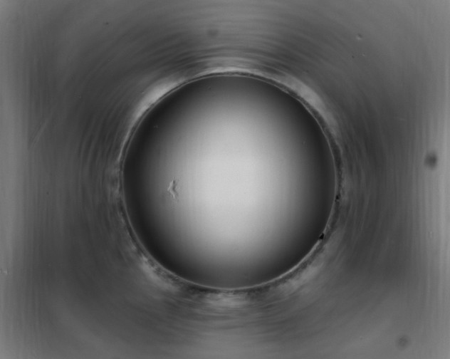 X0000102231145200807251229