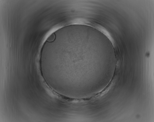 X0000102231146200807251229