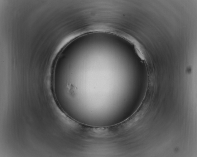 X0000102231147200807251229